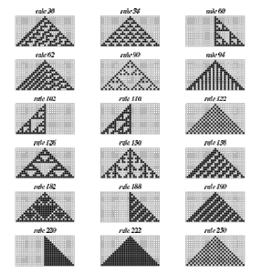 Rules from Wolfram CA