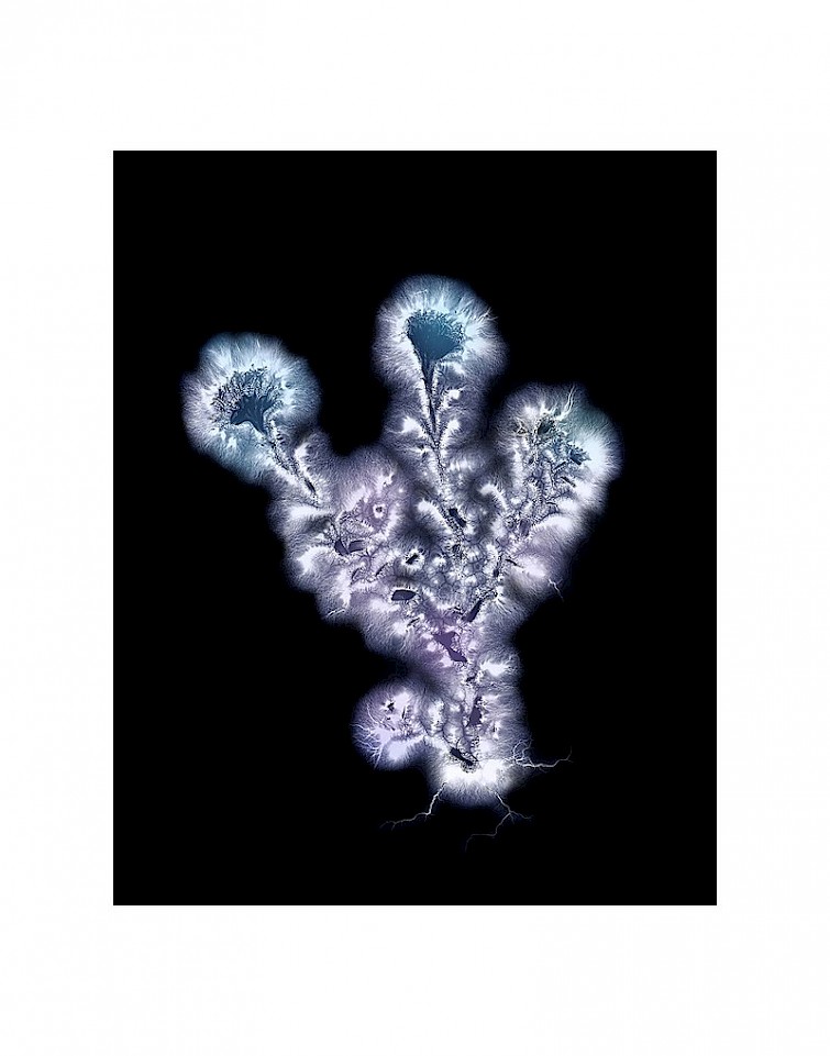 Kirlian Photography