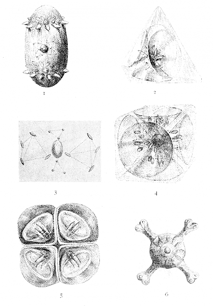 Occulte Chemistry, Annie Besnat & Charkes Leadbeater