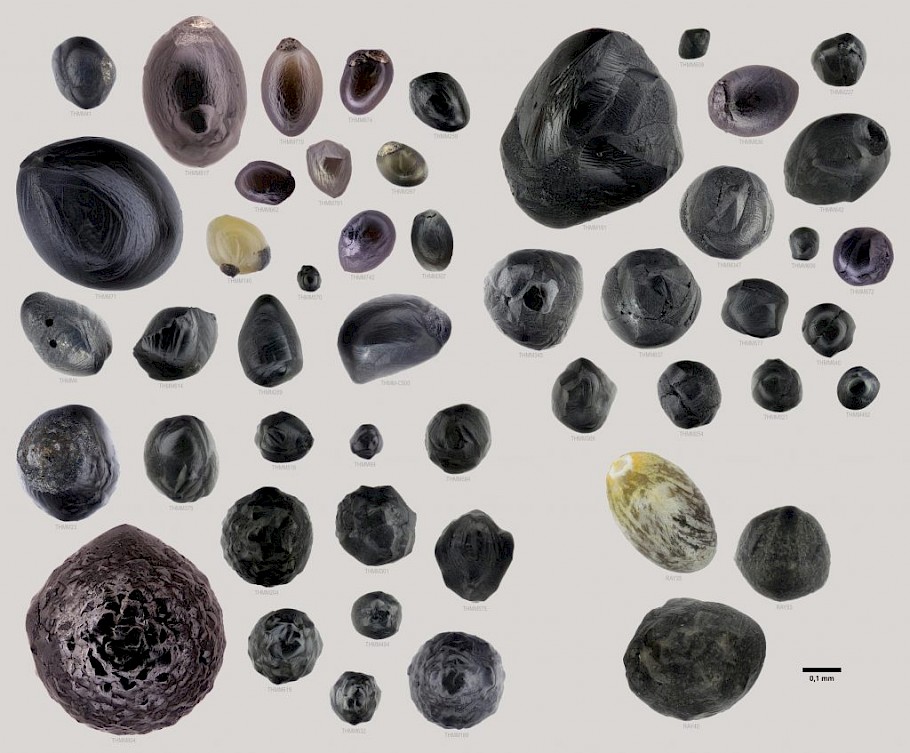 micrometeorids (credits urban micrometeorites database)