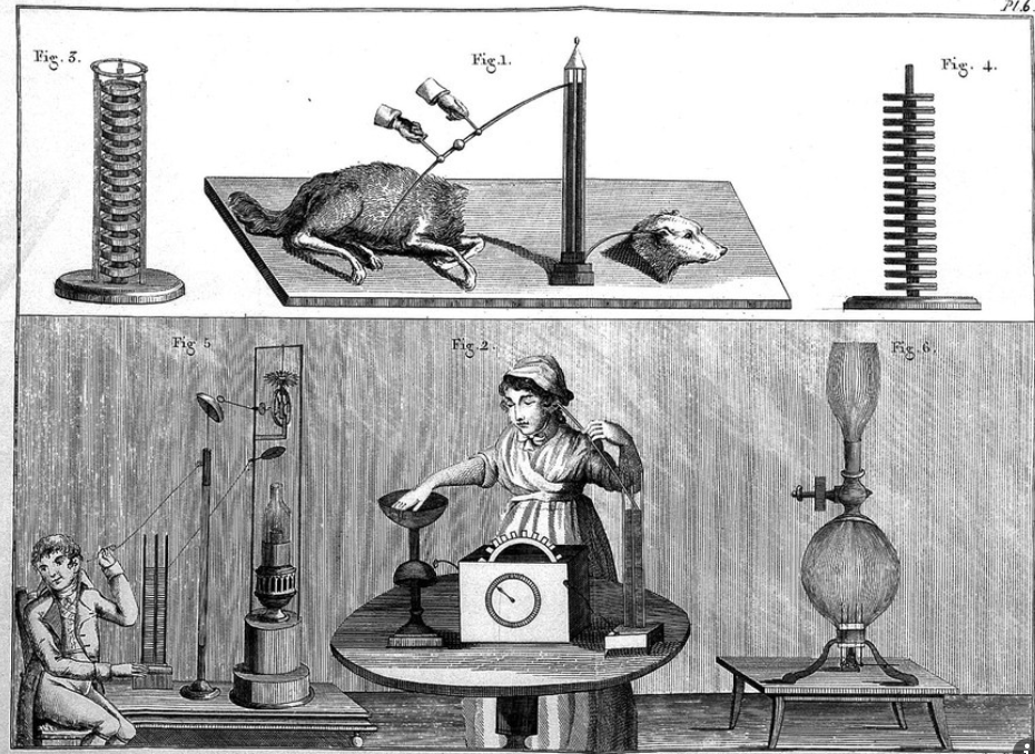Voltaic batteries 1804-animal-and-human batteries